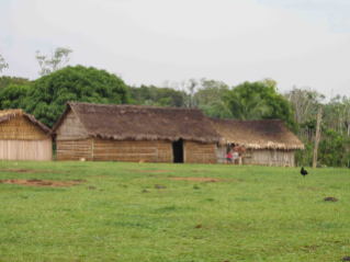 A Amazônia não é “uma despensa inesgotável” A Amazônia não é “uma despensa inesgotável”