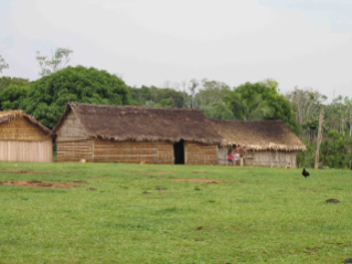 A Amazônia não é “uma despensa inesgotável”