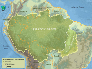 Apporti innovativi di «Querida Amazonia» Apporti innovativi di «Querida Amazonia»