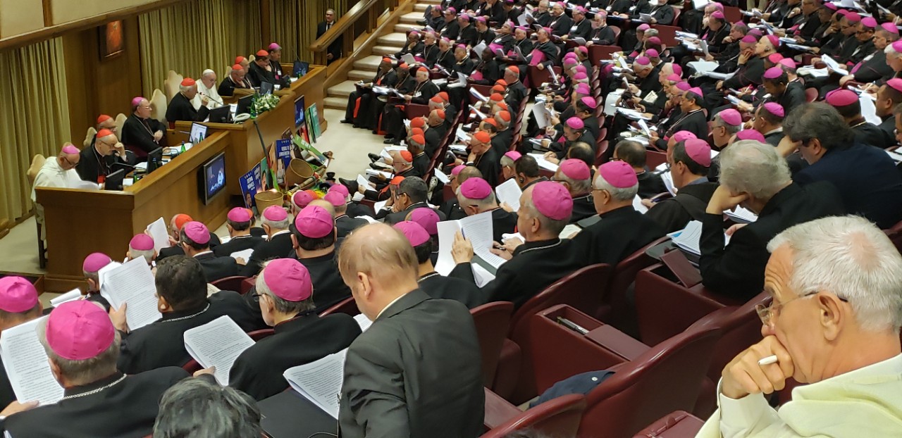 Sinodo para a Amazônia Vaticano