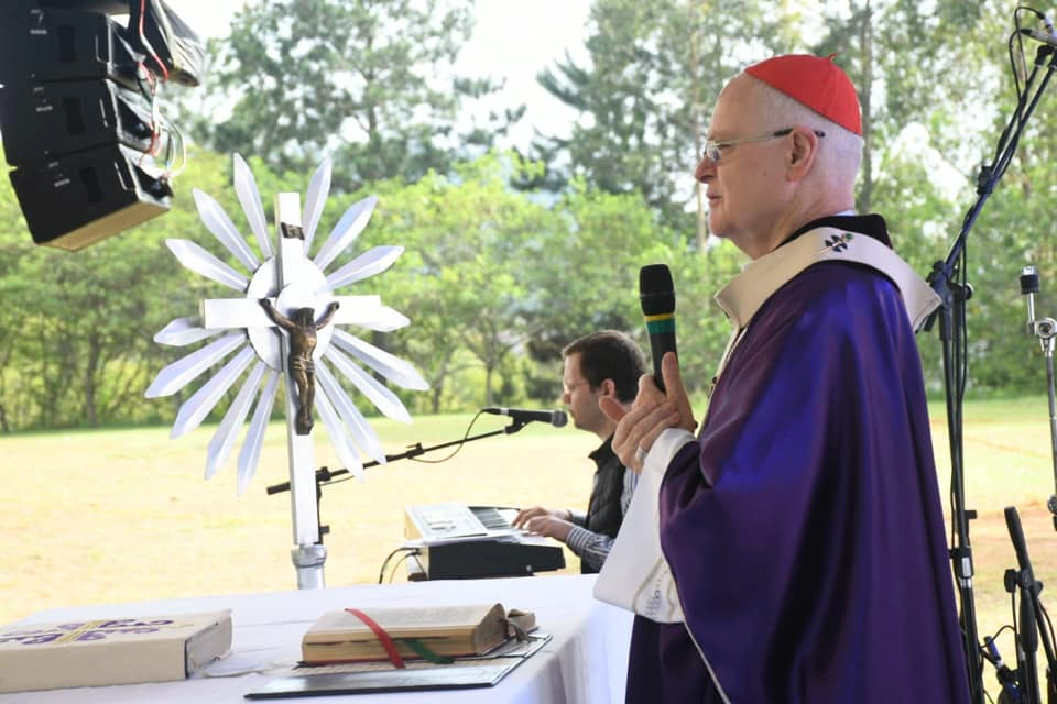 Cardeal Odilo Pedro Scherer Sínodo da Amazônia